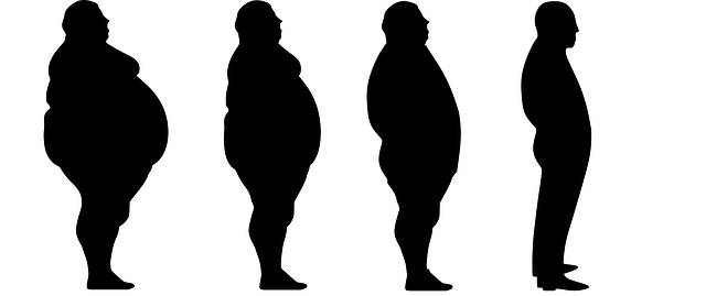 sileuta, obezita, hubnutí
